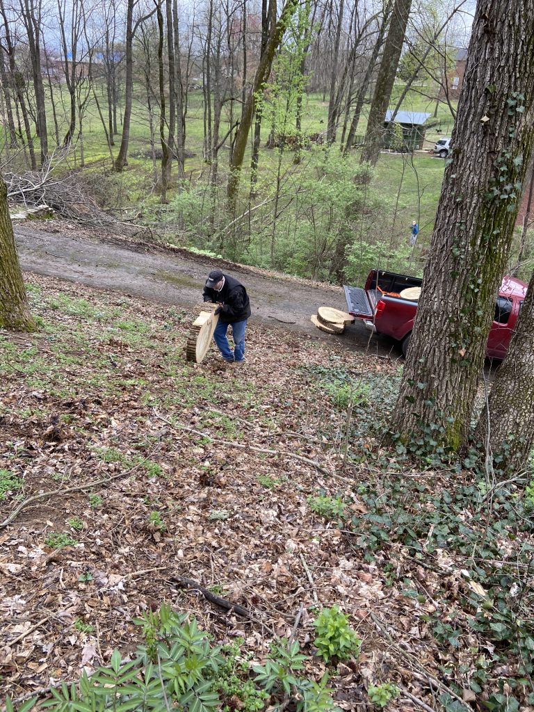 Harvesting wood from the Nashville Tornado - getting them to the truck.