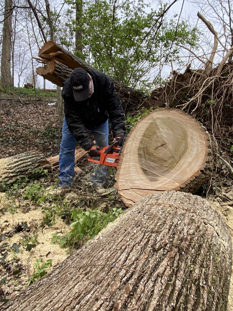 Harvesting wood from the Nashville 2020 tornado 